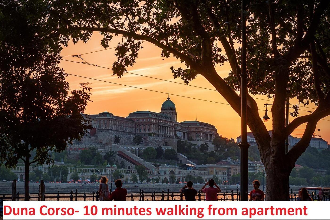 Chain Bridge Apartment Budapesta Exterior foto